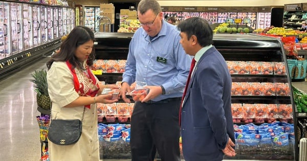 ផ្លែ​ល្ហុង​វៀត​ណាម​លេចឡើង​ជា​លើក​ដំបូង​ក្នុង​ប្រព័ន្ធ​ផ្សារ​ទំនើប​លក់​រាយ​ធំ​បំផុត​នៅ​សហរដ្ឋ​អាមេរិក