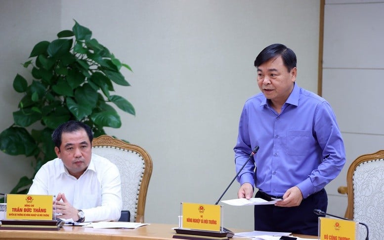 Thứ trưởng Bộ Nông nghiệp và Môi trường Nguyễn Hoàng Hiệp báo cáo về diễn biến bão số 3 và dự báo tình hình trong những ngày tới - Ảnh: VGP/MK