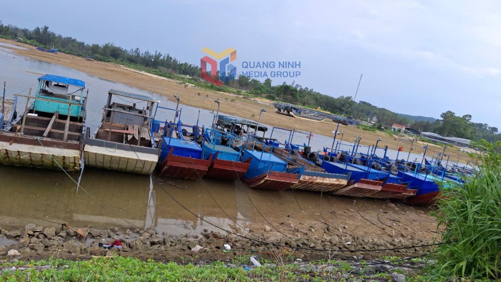Tàu thuyền về neo đậu, tránh trú bão tại xã Vĩnh Thực