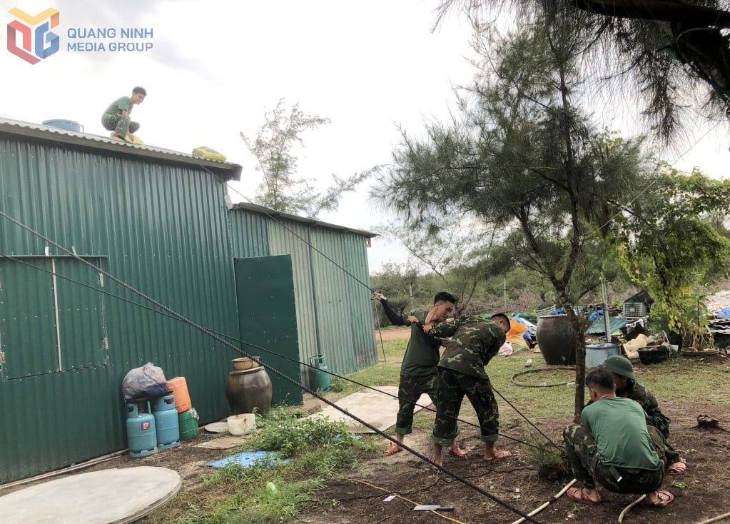 ضباط وجنود من سرية جزيرة فينه ثوك، التابعة لقيادة دفاع المنطقة ١ - كوانغ ها، يدعمون السكان المحليين في تحصين منازلهم قبل وصول العاصفة رقم ٣. الصورة: فان دام (مساهم)