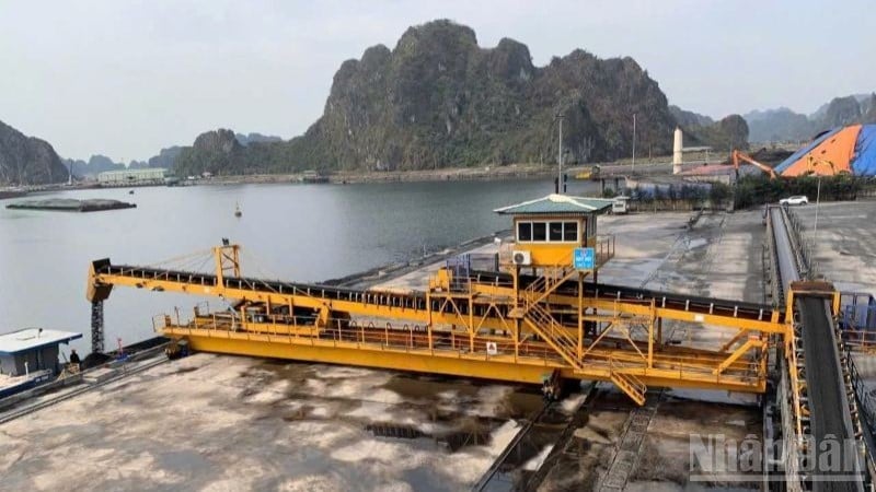 Tập đoàn Công nghiệp Than-Khoáng sản Việt Nam (TKV) yêu cầu các đơn vị, công ty khai thác than thành viên trên địa bàn tỉnh Quảng Ninh triển khai các biện pháp khẩn cấp ứng phó bão số 3 (Wipha).