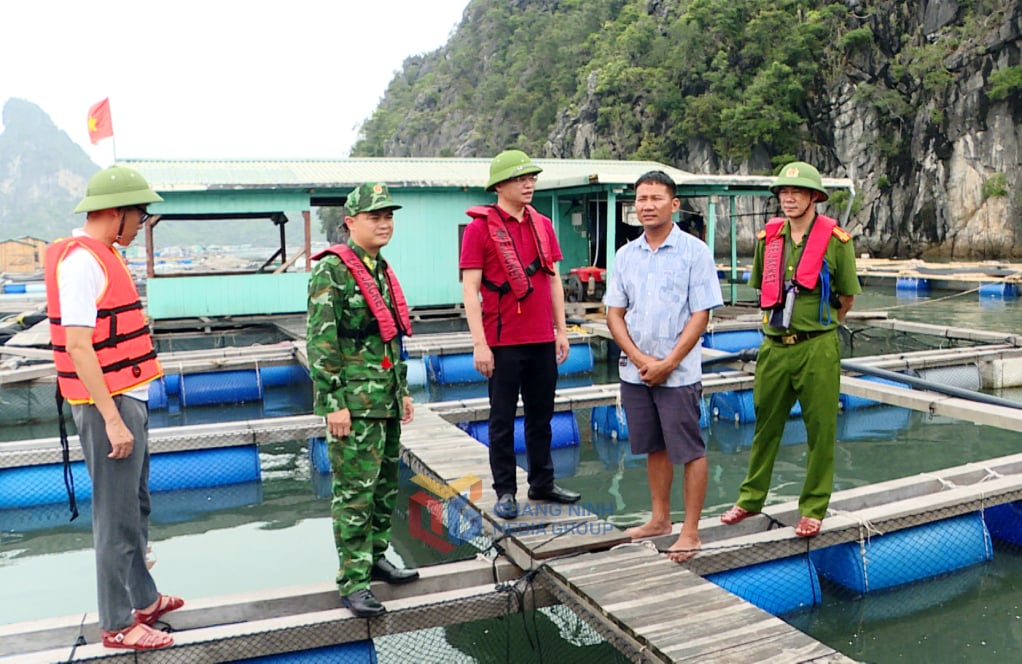 Lãnh đạo phường Cẩm Phả kiểm tra, vận động các hộ nuôi trông thủy sản trên địa bàn gia cố bè mảng và nhanh chóng lên bờ tránh trú bão.