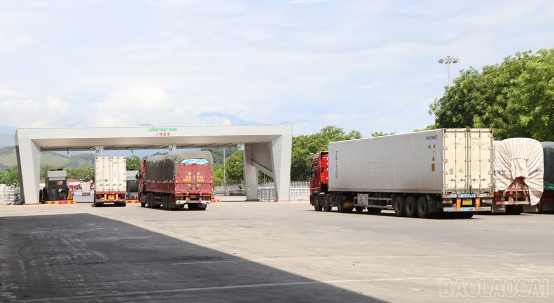 baolaocai-br_hq2222.jpg