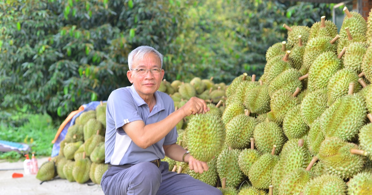 Triển vọng từ “siêu vùng” sầu riêng của cả nước