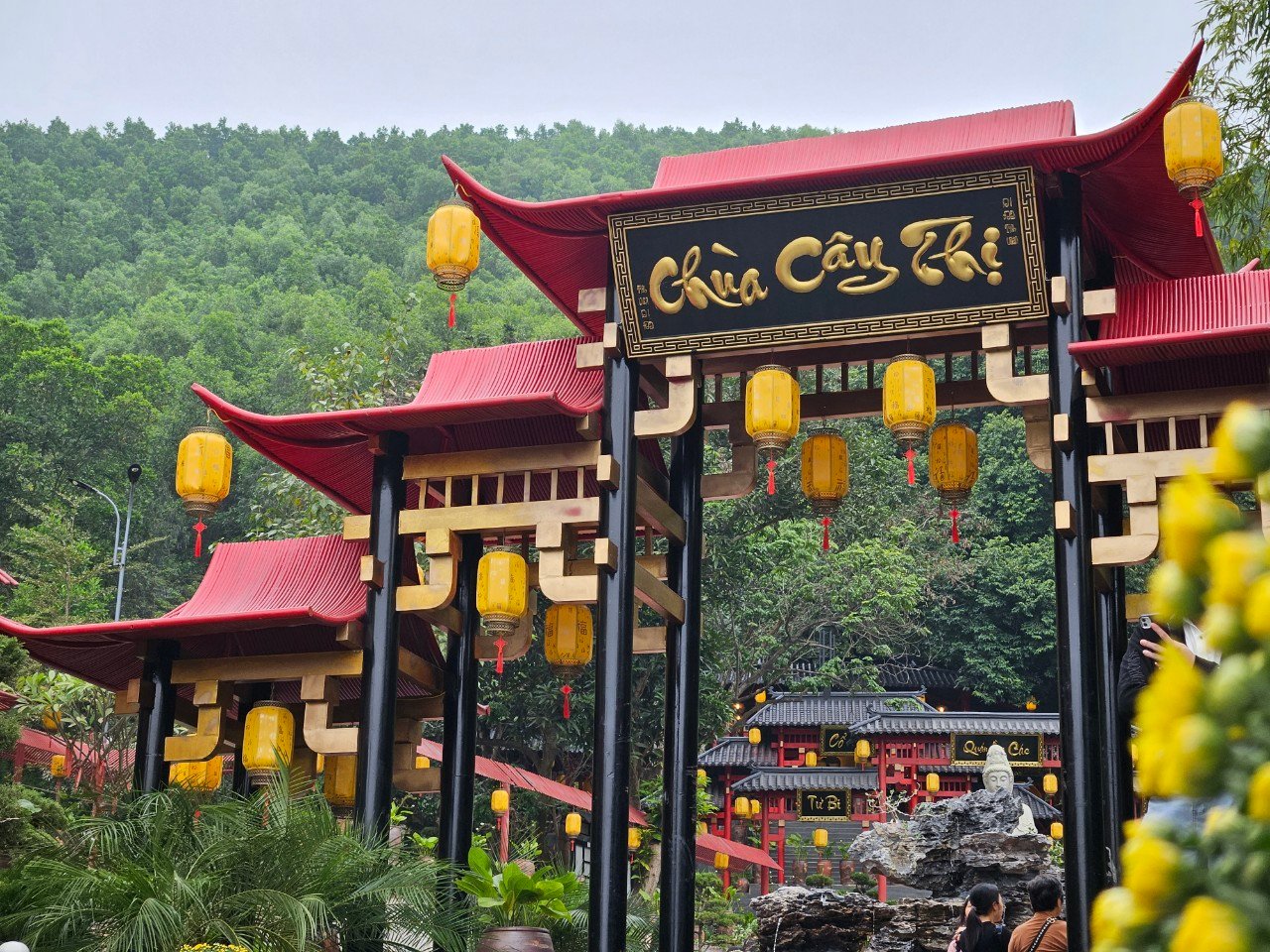 Chua-cay-thị