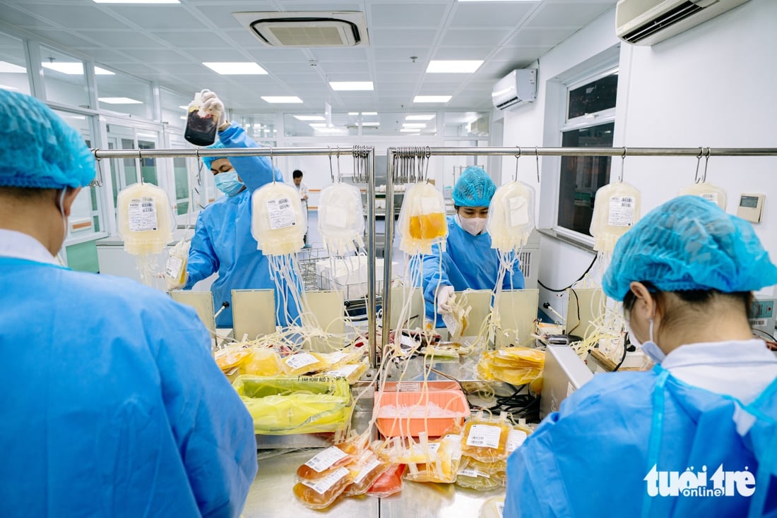 Hành trình giọt máu vàng cứu người ở Bệnh viện Chợ Rẫy - Ảnh 6.