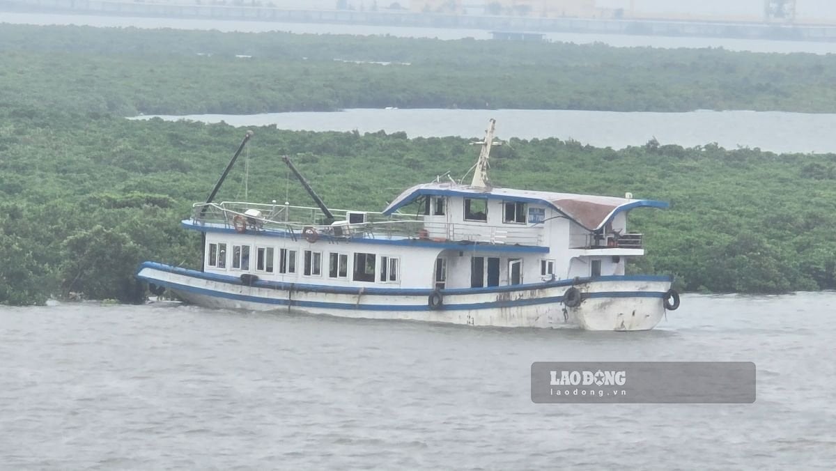 Tàu Vịnh Xanh 58 còn thời hạn đăng kiểm đến tháng 2.2026. Ảnh: Ngọc Duy