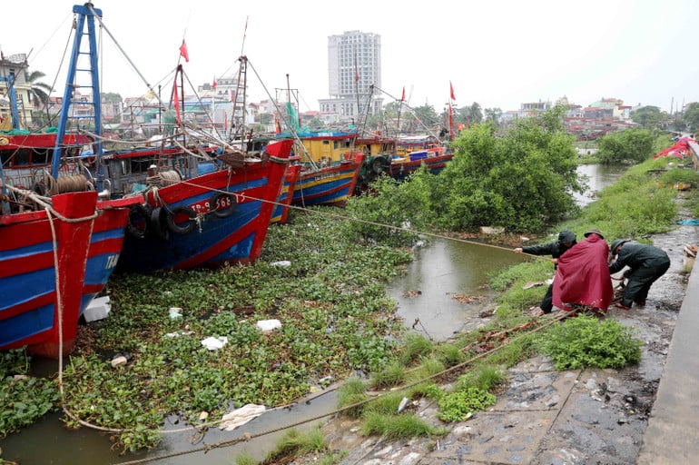vna-potal-pho-thu-tuong-tran-hong-ha-kiem-tra-cong-tac-phong-chong-bao-tai-hung-yen-8162111.jpg
