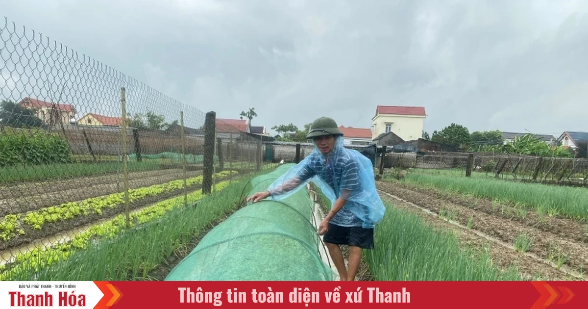 มุ่งเน้นการป้องกันพืชผลก่อน ระหว่าง และหลังพายุหมายเลข 3