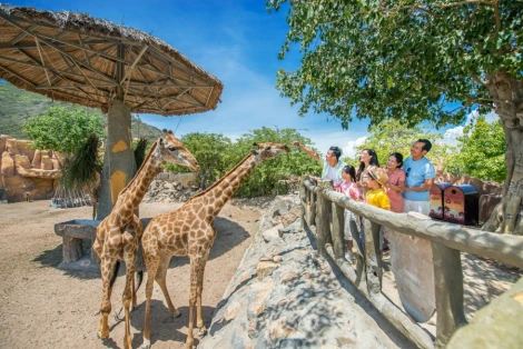 Top most impressive zoos and aquariums in Vietnam