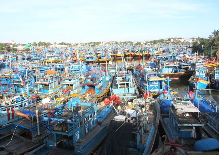 tau-thuyen-neo-dau-tranh-tru-bao-tren-song-dinh-phuong-la-gi(1).jpg