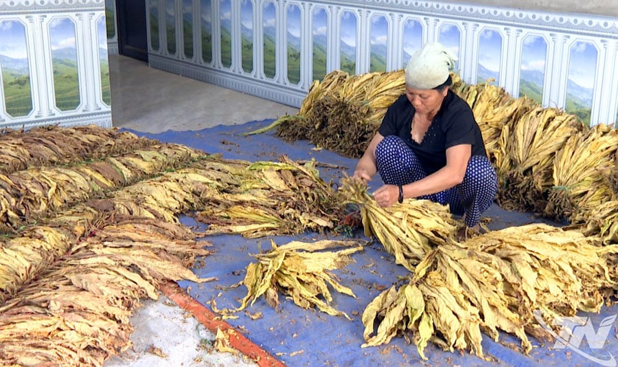 Having a new house to settle down, Ms. Hoang Thi Bay's family focuses on economic development.
