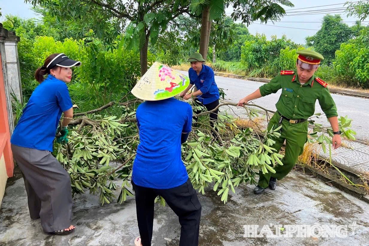 chu-nhat-xanh7.jpg
