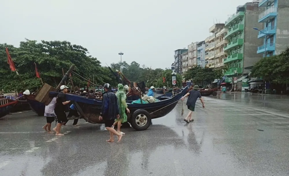 Ngư dân Hà Tĩnh, Thanh Hóa khẩn trương triển khai các biện pháp ứng phó với bão số 3 ảnh 16