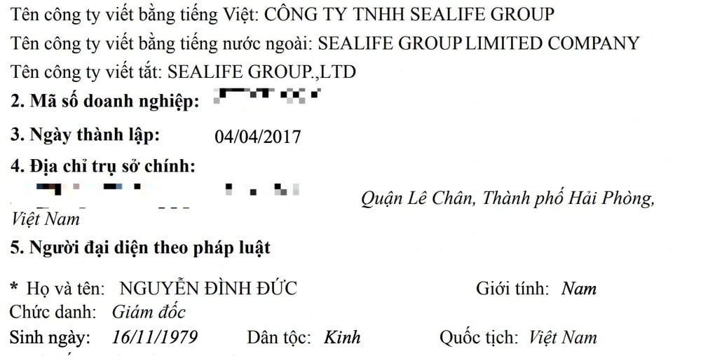 Vụ lật tàu trên Vịnh Hạ Long: Hồ sơ 2 công ty xin lỗi vì bắn pháo hoa - 1
