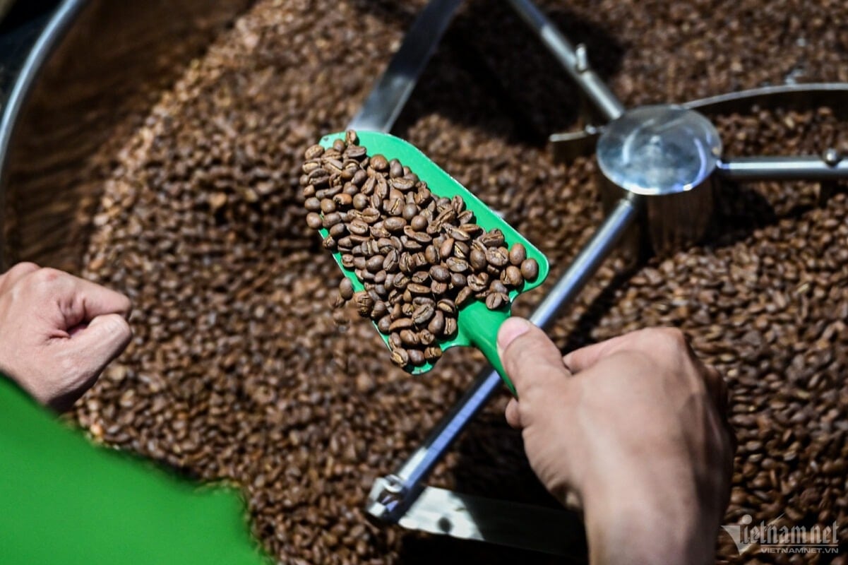 Prix du café aujourd'hui 21 7 Dans la phase d'équilibre du marché