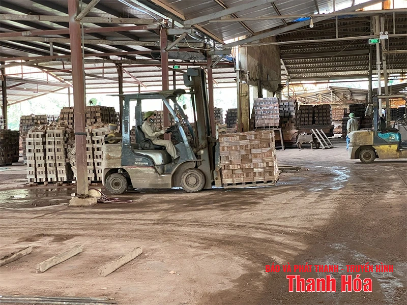 Impulsar la producción de materiales de construcción, asegurando el abastecimiento del mercado