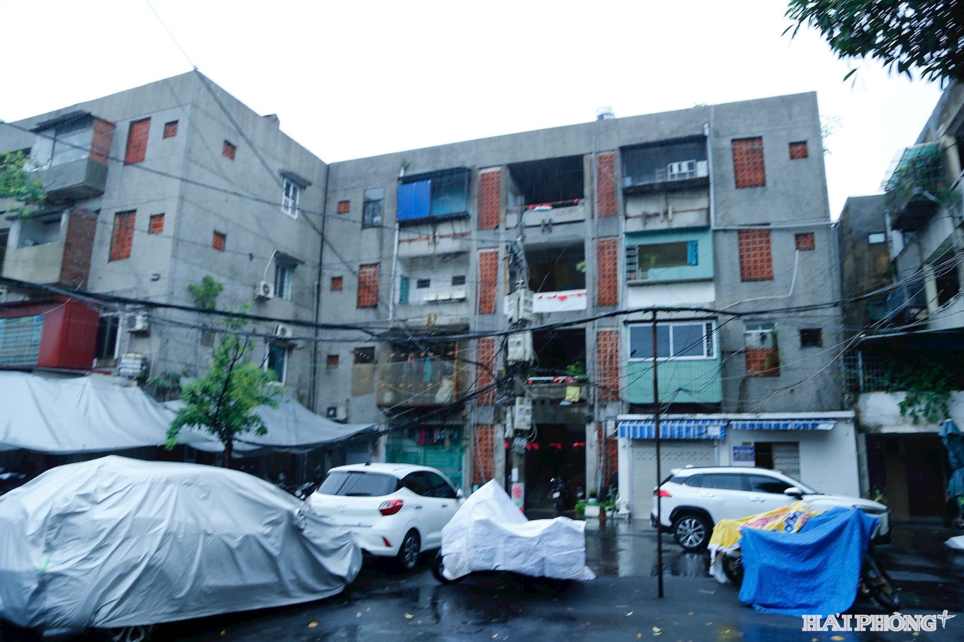 do-manh-hien-2.jpg
