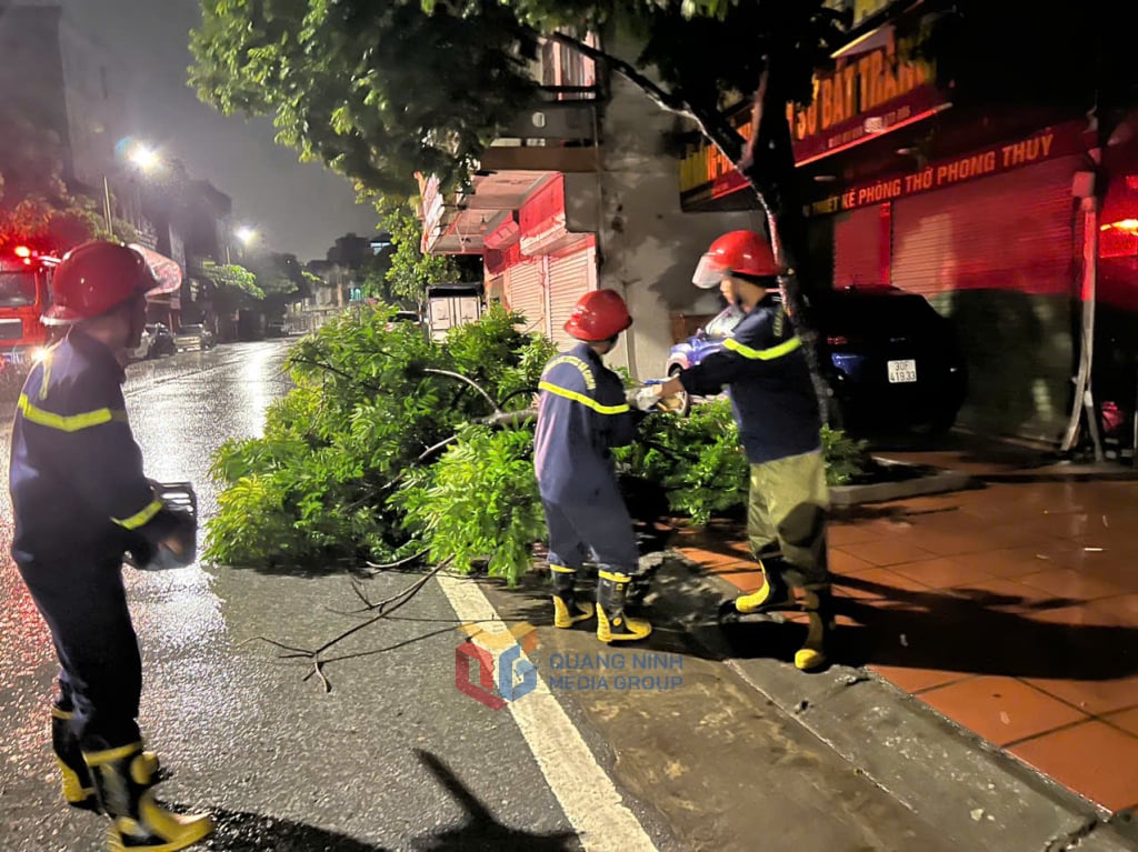 Lực lượng Cảnh sát PCCC&CNCH làm nhiệm vụ xử lý cây bị gãy tại phường Cao Xanh.