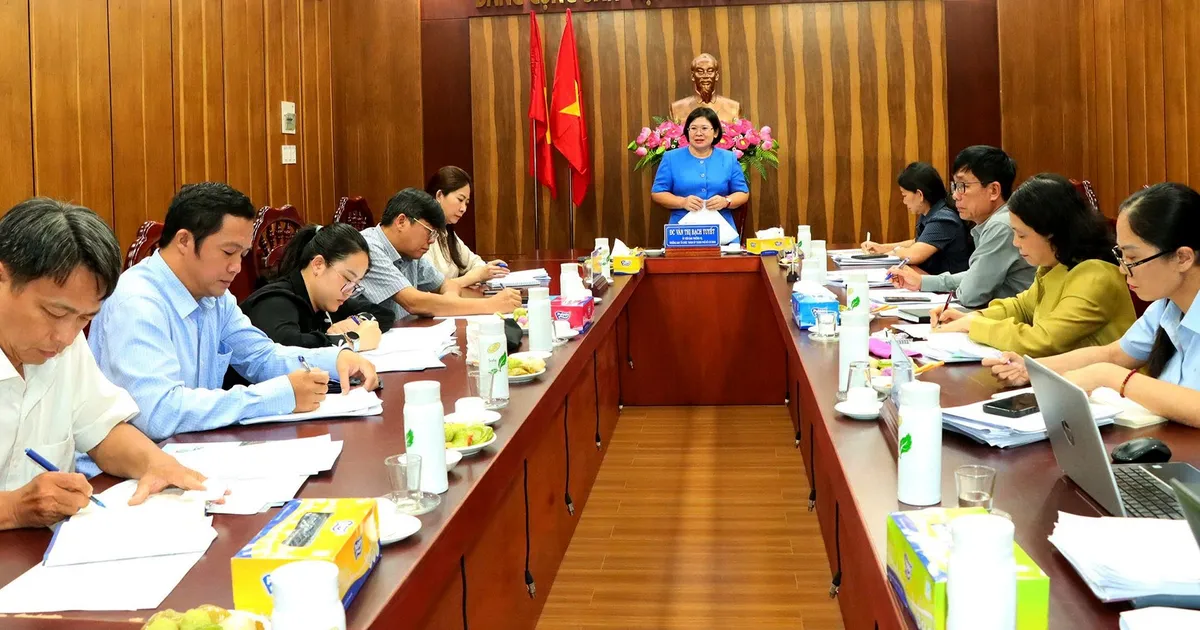 Ho Chi Minh City: Survey on preparations for the Congress and operation of the 2-level local government model in Dat Do and Phuoc Hai communes