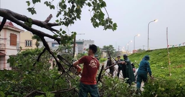 Thuong Cat Ward, Dong Ngac: Ensuring safety for people in the Red River area