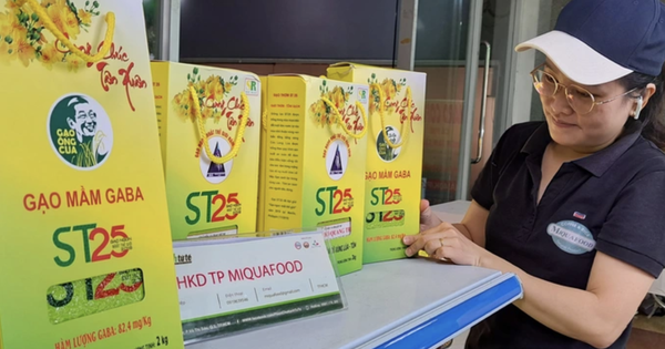 Tin vui đến với gạo ST25 ở Cần Thơ