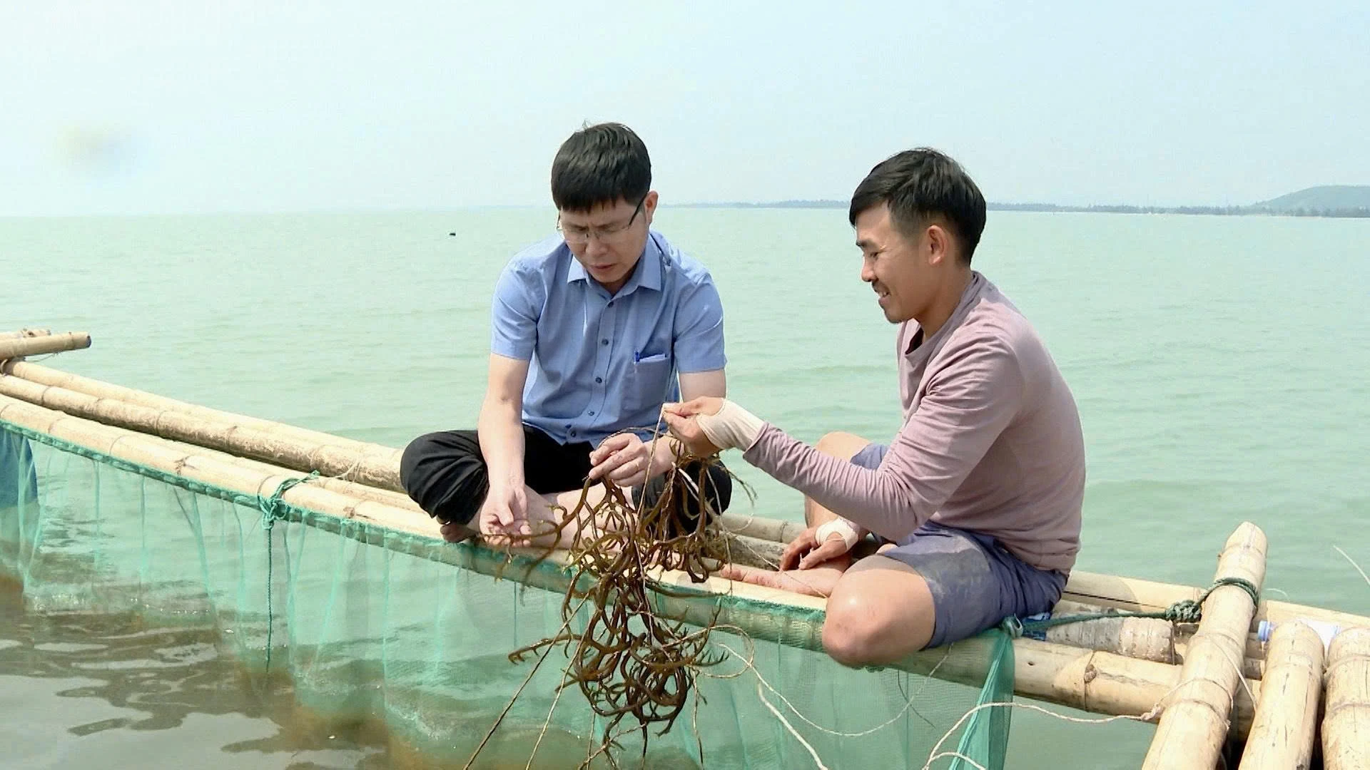 Đa dạng vật nuôi trên vùng biển