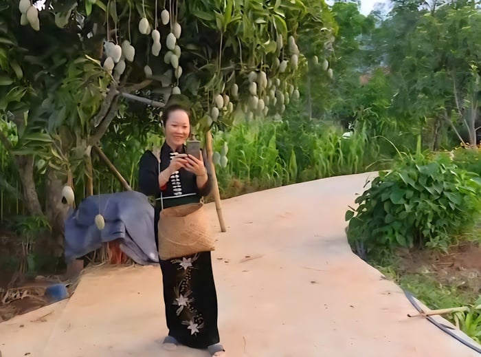Đưa trái cây Sơn La đi xa nhờ ứng dụng công nghệ số - Ảnh 2.