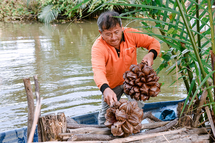 ការងារលំបាកនៅពីក្រោយភាពស្រស់ស្រាយបែបជនបទ