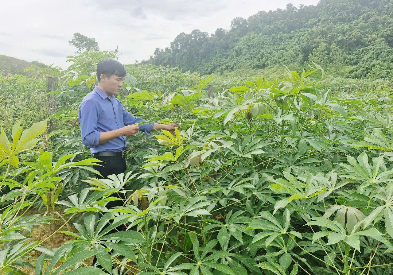 Truyền thông giảm nghèo ở xã Tuyên Lâm: “Mưa dầm thấm đất”