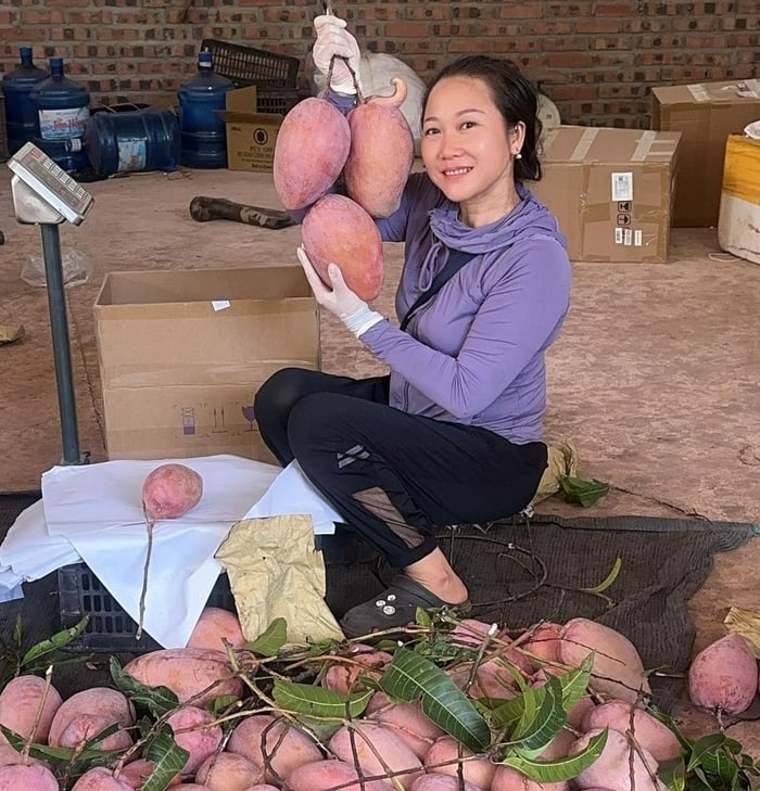 Đưa trái cây Sơn La đi xa nhờ ứng dụng công nghệ số - Ảnh 1.