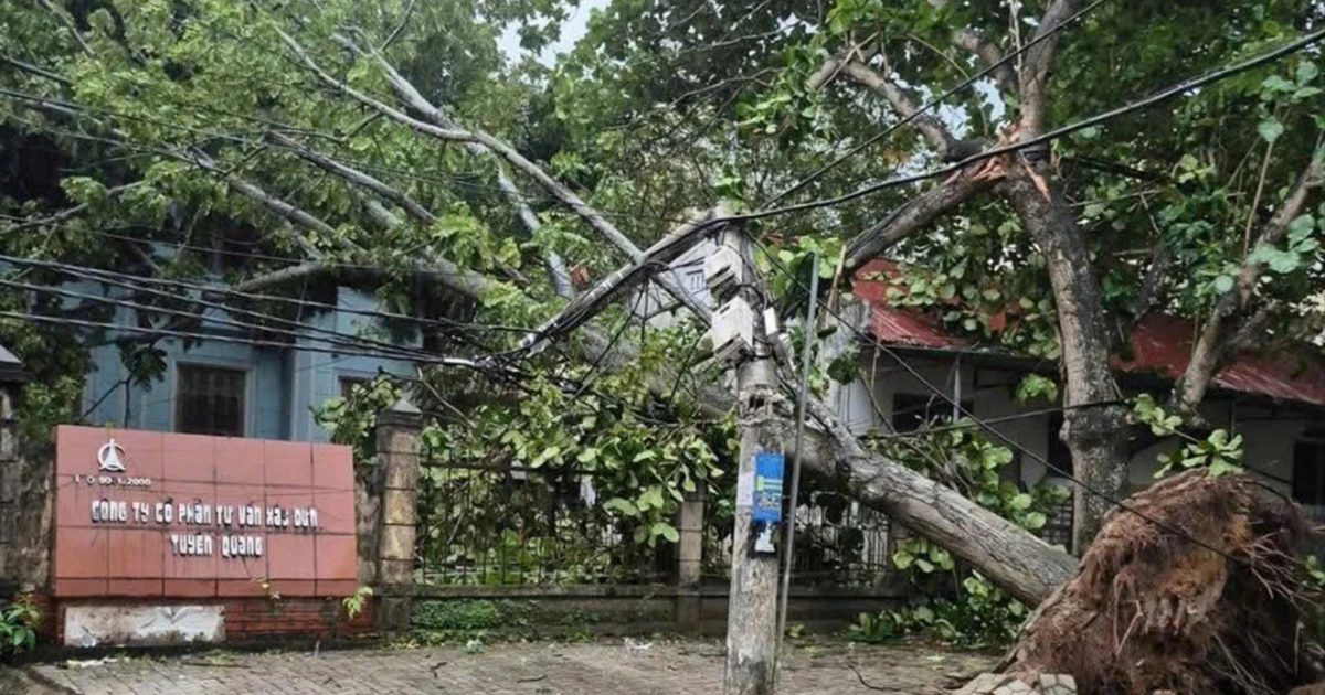 Khuyến cáo bảo đảm an toàn điện trong mùa mưa bão