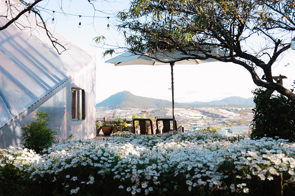 ហាងកាហ្វេដ៏ស្រស់ស្អាតនៅ Da Lat សម្រាប់អ្នកចូលចិត្តជីវិតនិម្មិត ញាក់ពីស៊ុមដល់ព្រលឹង