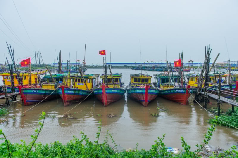 baonamdinh7-2579.jpg -0