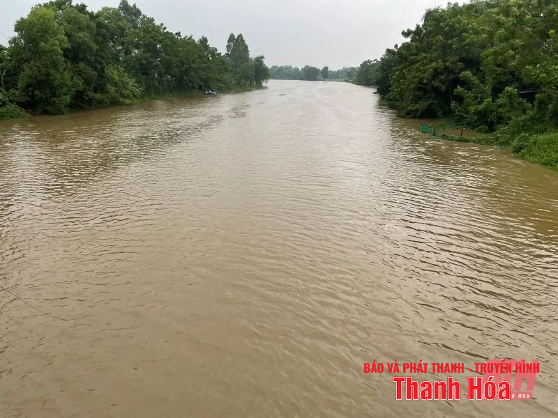 Lũ trên sông Yên khả năng đạt báo động 1 vào trưa nay (22/7)