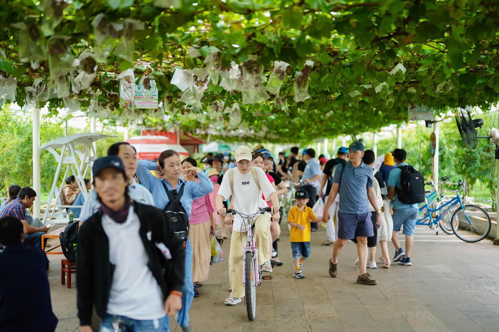 TP Hồ Chí Minh phát triển du lịch xanh gắn với nông nghiệp công nghệ cao - Ảnh 1.