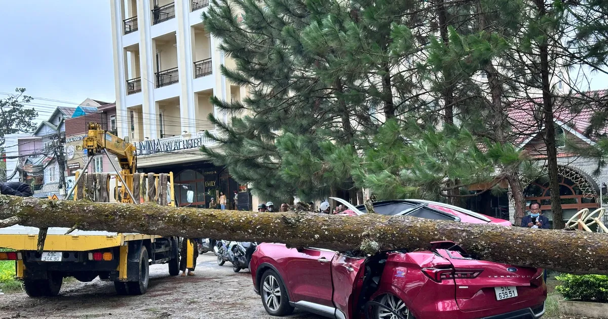 Lâm Đồng: Mưa lớn kèm lốc xoáy, nhiều người bị thương, hàng chục nhà bị hư hỏng