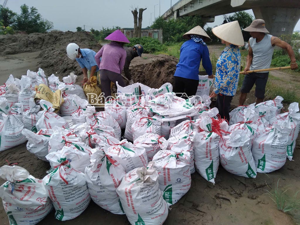 Xã Đông Thụy Anh huy động lực lượng xung kích đóng hơn 300 bao cát đắp Baket khu vực cầu sông Hóa để phòng, chống ngập úng diện tích đất nông nghiệp.