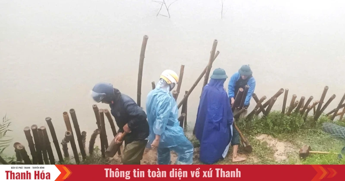 Xử lý sạt trượt mái đê cống Đồng Đền 2 tại xã Hoằng Châu