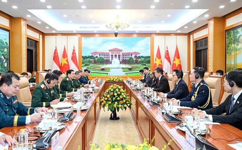  Quân đội Việt Nam và Singapore tăng cường hợp tác tin cậy, toàn diện, thực chất- Ảnh 1.