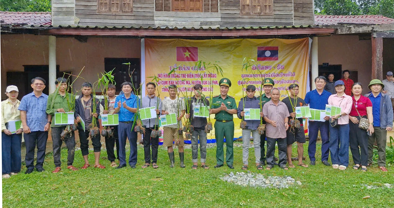 Bàn giao mô hình trồng tre điền trúc lấy măng tại huyện Bua La Pha