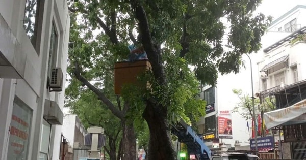 حشدت مناطق با دينه، ونغوك ها، وجيانج فو السكان للانتقال إلى أماكن آمنة.