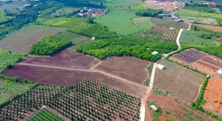 Bộ Tài chính đề xuất giảm tiền sử dụng đất khi chuyển từ đất nông nghiệp sang đất ở. (Ảnh minh họa).
