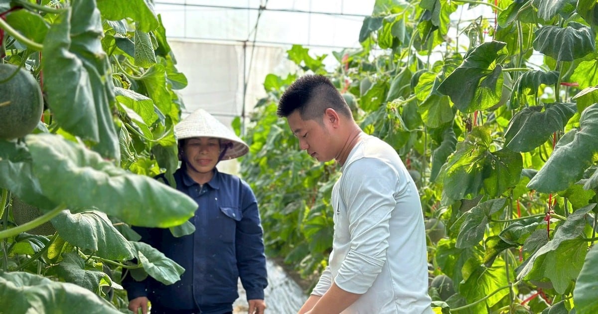 phu-pham-nong-nghiep.jpg
