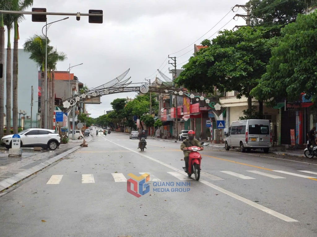 Đông Triều