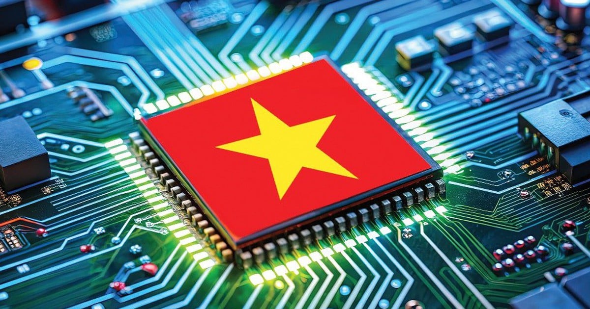 CT グループの ADC チップは何ができますか?