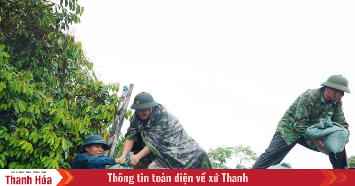 Các lực lượng quânn sự, biên phòng hỗ trợ Nhân dân trước khi bão đổ bộ
