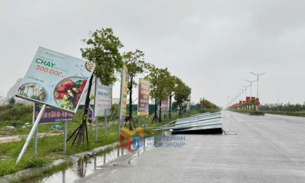 Quảng Ninh: Công tác phòng, chống bão được đảm bảo