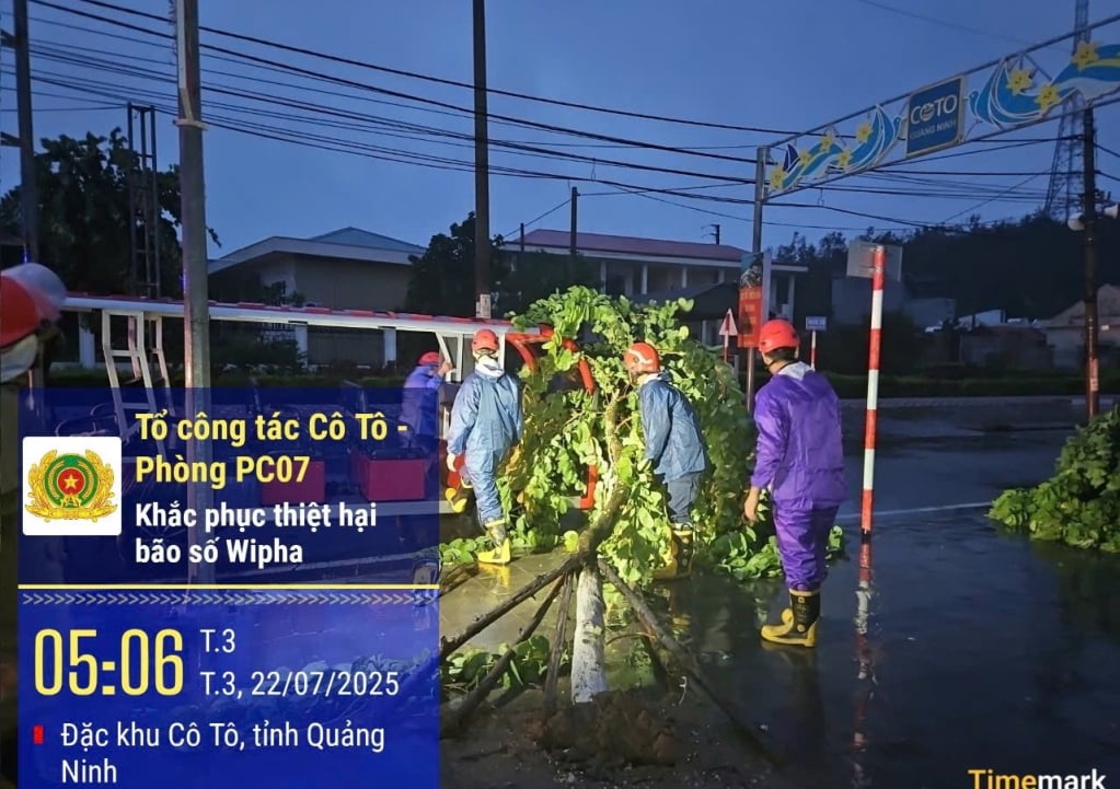 Tại đặc khu Cô Tô
