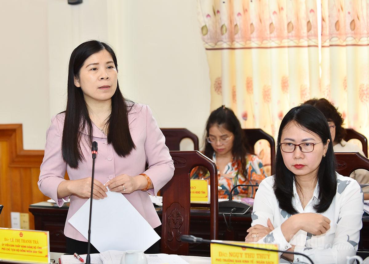 Phó Chủ tịch HĐND tỉnh Lê Thị Thanh Trà phát biểu tại cuộc họp.